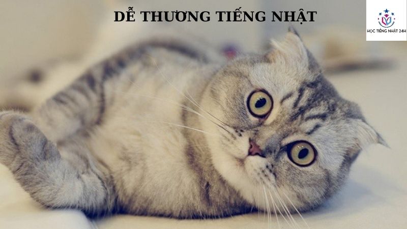 dễ thương tiếng nhật