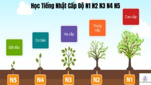 học tiếng nhật cấp độ n1 n2 n3 n4 n5